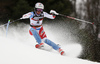 Michelle Gisin of Switzerland skiing in the first run of the women slalom race of the Audi FIS Alpine skiing World cup on Sljeme above Zagreb, Croatia. Women slalom race of the Audi FIS Alpine skiing World cup season 2018-2019 was held on Sljeme above Zagreb, Croatia, on Saturday, 5thth of January 2019.
