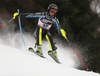 Emelie Wikstroem of Sweden skiing in the first run of the women slalom race of the Audi FIS Alpine skiing World cup on Sljeme above Zagreb, Croatia. Women slalom race of the Audi FIS Alpine skiing World cup season 2018-2019 was held on Sljeme above Zagreb, Croatia, on Saturday, 5thth of January 2019.
