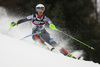 Mina Fuerst Holtmann of Norway skiing in the first run of the women slalom race of the Audi FIS Alpine skiing World cup on Sljeme above Zagreb, Croatia. Women slalom race of the Audi FIS Alpine skiing World cup season 2018-2019 was held on Sljeme above Zagreb, Croatia, on Saturday, 5thth of January 2019.
