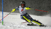 ]Anna Swenn Larsson of Sweden skiing in the first run of the women slalom race of the Audi FIS Alpine skiing World cup Flachau, Austria. Women slalom race of the Audi FIS Alpine skiing World cup season 2018-2019 was held Flachau, Austria, on Tuesday, 8th of January 2019.
