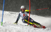 Magdalena Fjaellstroem of Sweden skiing in the first run of the women slalom race of the Audi FIS Alpine skiing World cup Flachau, Austria. Women slalom race of the Audi FIS Alpine skiing World cup season 2018-2019 was held Flachau, Austria, on Tuesday, 8th of January 2019.
