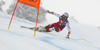 Vincent Kriechmayr of Austria skiing during men downhill race of the Audi FIS Alpine skiing World cup Kitzbuehel, Austria. Men downhill Hahnenkamm race of the Audi FIS Alpine skiing World cup season 2018-2019 was held Kitzbuehel, Austria, on Friday, 25th of January 2019.
