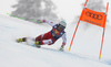 Vincent Kriechmayr of Austria skiing during men downhill race of the Audi FIS Alpine skiing World cup Kitzbuehel, Austria. Men downhill Hahnenkamm race of the Audi FIS Alpine skiing World cup season 2018-2019 was held Kitzbuehel, Austria, on Friday, 25th of January 2019.
