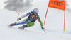 Martin Cater of Slovenia skiing during men downhill race of the Audi FIS Alpine skiing World cup Kitzbuehel, Austria. Men downhill Hahnenkamm race of the Audi FIS Alpine skiing World cup season 2018-2019 was held Kitzbuehel, Austria, on Friday, 25th of January 2019.
