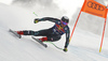 Brodie Seger of Canada skiing during men downhill race of the Audi FIS Alpine skiing World cup Kitzbuehel, Austria. Men downhill Hahnenkamm race of the Audi FIS Alpine skiing World cup season 2018-2019 was held Kitzbuehel, Austria, on Friday, 25th of January 2019.
