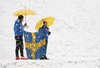 Swedish supporters watching the finals of women team sprint race of FIS Cross country skiing World Cup in Planica, Slovenia. Finals of women team sprint finals of FIS Cross country skiing World Cup in Planica, Slovenia were held on Sunday, 22nd of December 2019 in Planica, Slovenia.
