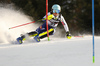 Meta Hrovat of Slovenia skiing during the first run of the women slalom Snow Queen trophy race of the Audi FIS Alpine skiing World cup in Zagreb, Croatia. Women Snow Queen Trophy slalom race of Audi FIS Alpine skiing World cup season 2019-2020, was held on Sljeme above Zagreb, Croatia, on Saturday, 4th of January 2020.
