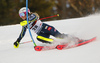 Magdalena Fjaellstroem of Sweden skiing during the first run of the women slalom Snow Queen trophy race of the Audi FIS Alpine skiing World cup in Zagreb, Croatia. Women Snow Queen Trophy slalom race of Audi FIS Alpine skiing World cup season 2019-2020, was held on Sljeme above Zagreb, Croatia, on Saturday, 4th of January 2020.
