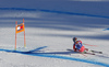 Matthias Mayer of Austria skiing during first training run for men downhill race of the Audi FIS Alpine skiing World cup in Kitzbuehel, Austria. First training run for men downhill race of Audi FIS Alpine skiing World cup season 2019-2020, was held on Streif in Kitzbuehel, Austria, on Wednesday, 22nd of January 2020.
