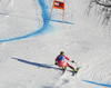 Max Franz of Austria skiing during first training run for men downhill race of the Audi FIS Alpine skiing World cup in Kitzbuehel, Austria. First training run for men downhill race of Audi FIS Alpine skiing World cup season 2019-2020, was held on Streif in Kitzbuehel, Austria, on Wednesday, 22nd of January 2020.
