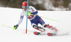 Stefan Hadalin of Slovenia skiing during first run of the men slalom race of the Audi FIS Alpine skiing World cup in Kitzbuehel, Austria. Men slalom race of Audi FIS Alpine skiing World cup 2019-2020, was held on Ganslernhang in Kitzbuehel, Austria, on Sunday, 26th of January 2020.
