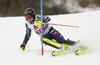 Kristoffer Jakobsen of Sweden skiing during first run of the men slalom race of the Audi FIS Alpine skiing World cup in Kitzbuehel, Austria. Men slalom race of Audi FIS Alpine skiing World cup 2019-2020, was held on Ganslernhang in Kitzbuehel, Austria, on Sunday, 26th of January 2020.
