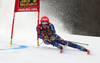 Federica Brignone of Italy skiing during first run of the women giant slalom race of the Audi FIS Alpine skiing World cup in Kranjska Gora, Slovenia. Women Golden Fox trophy giant slalom race of Audi FIS Alpine skiing World cup 2019-2020, was transferred from Maribor to Kranjska Gora, Slovenia, and was on Saturday, 15th of February 2020.
