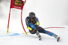 Sara Hector of Sweden skiing during first run of the women giant slalom race of the Audi FIS Alpine skiing World cup in Kranjska Gora, Slovenia. Women Golden Fox trophy giant slalom race of Audi FIS Alpine skiing World cup 2019-2020, was transferred from Maribor to Kranjska Gora, Slovenia, and was on Saturday, 15th of February 2020.
