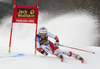 Michelle Gisin of Switzerland skiing during first run of the women giant slalom race of the Audi FIS Alpine skiing World cup in Kranjska Gora, Slovenia. Women Golden Fox trophy giant slalom race of Audi FIS Alpine skiing World cup 2019-2020, was transferred from Maribor to Kranjska Gora, Slovenia, and was on Saturday, 15th of February 2020.
