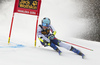 Meta Hrovat of Slovenia skiing during first run of the women giant slalom race of the Audi FIS Alpine skiing World cup in Kranjska Gora, Slovenia. Women Golden Fox trophy giant slalom race of Audi FIS Alpine skiing World cup 2019-2020, was transferred from Maribor to Kranjska Gora, Slovenia, and was on Saturday, 15th of February 2020.
