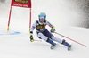 Meta Hrovat of Slovenia skiing during first run of the women giant slalom race of the Audi FIS Alpine skiing World cup in Kranjska Gora, Slovenia. Women Golden Fox trophy giant slalom race of Audi FIS Alpine skiing World cup 2019-2020, was transferred from Maribor to Kranjska Gora, Slovenia, and was on Saturday, 15th of February 2020.
