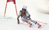 Kristin Lysdahl of Norway skiing during first run of the women giant slalom race of the Audi FIS Alpine skiing World cup in Kranjska Gora, Slovenia. Women Golden Fox trophy giant slalom race of Audi FIS Alpine skiing World cup 2019-2020, was transferred from Maribor to Kranjska Gora, Slovenia, and was on Saturday, 15th of February 2020.
