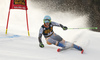 Nina Haver-Loeseth of Norway skiing during first run of the women giant slalom race of the Audi FIS Alpine skiing World cup in Kranjska Gora, Slovenia. Women Golden Fox trophy giant slalom race of Audi FIS Alpine skiing World cup 2019-2020, was transferred from Maribor to Kranjska Gora, Slovenia, and was on Saturday, 15th of February 2020.
