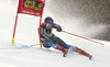 Magdalena Fjaellstroem of Sweden skiing during first run of the women giant slalom race of the Audi FIS Alpine skiing World cup in Kranjska Gora, Slovenia. Women Golden Fox trophy giant slalom race of Audi FIS Alpine skiing World cup 2019-2020, was transferred from Maribor to Kranjska Gora, Slovenia, and was on Saturday, 15th of February 2020.
