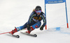 Magdalena Fjaellstroem of Sweden skiing during first run of the women giant slalom race of the Audi FIS Alpine skiing World cup in Kranjska Gora, Slovenia. Women Golden Fox trophy giant slalom race of Audi FIS Alpine skiing World cup 2019-2020, was transferred from Maribor to Kranjska Gora, Slovenia, and was on Saturday, 15th of February 2020.
