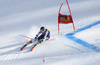 Tina Robnik of Slovenia skiing in the second run of the women giant slalom race of the Audi FIS Alpine skiing World cup in Kranjska Gora, Slovenia. Women Golden Fox trophy giant slalom race of Audi FIS Alpine skiing World cup 2019-2020, was transferred from Maribor to Kranjska Gora, Slovenia, and was on Saturday, 15th of February 2020.
