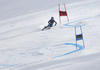 Alice Robinson of New Zealand skiing in  the second run of the women giant slalom race of the Audi FIS Alpine skiing World cup in Kranjska Gora, Slovenia. Women Golden Fox trophy giant slalom race of Audi FIS Alpine skiing World cup 2019-2020, was transferred from Maribor to Kranjska Gora, Slovenia, and was on Saturday, 15th of February 2020.
