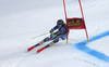 Alice Robinson of New Zealand skiing in  the second run of the women giant slalom race of the Audi FIS Alpine skiing World cup in Kranjska Gora, Slovenia. Women Golden Fox trophy giant slalom race of Audi FIS Alpine skiing World cup 2019-2020, was transferred from Maribor to Kranjska Gora, Slovenia, and was on Saturday, 15th of February 2020.
