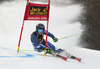 Alice Robinson of New Zealand skiing during first run of the women giant slalom race of the Audi FIS Alpine skiing World cup in Kranjska Gora, Slovenia. Women Golden Fox trophy giant slalom race of Audi FIS Alpine skiing World cup 2019-2020, was transferred from Maribor to Kranjska Gora, Slovenia, and was on Saturday, 15th of February 2020.
