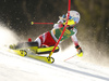 Katharina Truppe of Austria skiing during first run of the women slalom race of the Audi FIS Alpine skiing World cup in Kranjska Gora, Slovenia. Women Golden Fox trophy slalom race of Audi FIS Alpine skiing World cup 2019-2020, was transferred from Maribor to Kranjska Gora, Slovenia, and was held on Sunday, 16th of February 2020.
