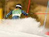 Emelie Wikstroem of Sweden skiing during first run of the women slalom race of the Audi FIS Alpine skiing World cup in Kranjska Gora, Slovenia. Women Golden Fox trophy slalom race of Audi FIS Alpine skiing World cup 2019-2020, was transferred from Maribor to Kranjska Gora, Slovenia, and was held on Sunday, 16th of February 2020.
