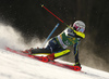 Magdalena Fjaellstroem of Sweden skiing during first run of the women slalom race of the Audi FIS Alpine skiing World cup in Kranjska Gora, Slovenia. Women Golden Fox trophy slalom race of Audi FIS Alpine skiing World cup 2019-2020, was transferred from Maribor to Kranjska Gora, Slovenia, and was held on Sunday, 16th of February 2020.
