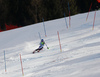 Winner Petra Vlhova of Slovakia skiing in the second run of the women slalom race of the Audi FIS Alpine skiing World cup in Kranjska Gora, Slovenia. Women Golden Fox trophy slalom race of Audi FIS Alpine skiing World cup 2019-2020, was transferred from Maribor to Kranjska Gora, Slovenia, and was held on Sunday, 16th of February 2020.
