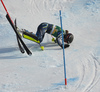 Anna Swenn Larsson of Sweden crashing just few gates from finish of the second run of the women slalom race of the Audi FIS Alpine skiing World cup in Kranjska Gora, Slovenia. Women Golden Fox trophy slalom race of Audi FIS Alpine skiing World cup 2019-2020, was transferred from Maribor to Kranjska Gora, Slovenia, and was held on Sunday, 16th of February 2020.
