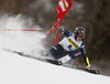 Sara Hector of Sweden skiing in the first run of the women giant slalom race of Audi FIS Alpine skiing World cup in Kranjska Gora, Slovenia. Women Golden Fox Trophy giant slalom race of Audi FIS Alpine skiing World cup, was held in Kranjska Gora, Slovenia, on Saturday, 7th of January 2023.