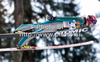 Janne Ahonen of Finland competes during First round of the FIS Ski Jumping World Cup event of the 58th Four Hills ski jumping tournament, on January 3, 2010 in Bergisel, Innsbruck, Austria.
