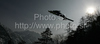 Ski jumper soars through the air during first day of FIS Ski flying World championships in Planica, Slovenia. First day of FIS Ski flying World Championships was held on Friday, 19th of March 2010, in Planica, Slovenia.
