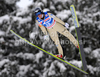 Robert Kranjec (SLO) <br>  <br>  during FIS Ski jumping World cup race in Engelberg, Switzerland. FIS Ski jumping World cup in Engelberg, Switzerland was held on 18th of December 2010.
