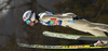 Kim Rene Elverum Sorsell of Norway soars through the air during team competition on day 2 in FIS Ski jumping World cup finals in Planica, Slovenia. Team competition of FIS ski jumping World cup finals was held on HS215 ski flying hill in Planica, Slovenia, on Saturday, 23rd of March 2013.

