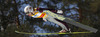 Stefan Kraft of Austria soars through the air during team competition on day 2 in FIS Ski jumping World cup finals in Planica, Slovenia. Team competition of FIS ski jumping World cup finals was held on HS215 ski flying hill in Planica, Slovenia, on Saturday, 23rd of March 2013.
