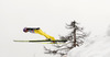 Michael Neumayer of Germany soars through the air during individual competition on day 3 in FIS Ski jumping World cup finals in Planica, Slovenia. Last individual competition of FIS ski jumping World cup finals was held on HS215 ski flying hill in Planica, Slovenia, on Sunday, 24th of March 2013.
