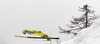 Robert Kranjec of Slovenia soars through the air during individual competition on day 3 in FIS Ski jumping World cup finals in Planica, Slovenia. Last individual competition of FIS ski jumping World cup finals was held on HS215 ski flying hill in Planica, Slovenia, on Sunday, 24th of March 2013.
