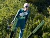 Severin Freund, GER, #34 during FIS Ski Jumping Summer Grand Prix Ski at the Energie AG Skisprung Arena, Hinzenbach, Austria on 2013/09/28.
