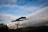 Thomas Diethart (AUT) in action during Trial Jump of 62nd Four Hills Tournament of FIS Ski Jumping World Cup at the Paul Ausserleitner Schanze in Bischofshofen, Austria on 2014/01/06.

