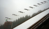 Gregor Deschwanden of Switzerland soars through the air during last race of Viessmann FIS ski jumping World cup season 2013-2014 in Planica, Slovenia. Last race of Viessmann FIS ski jumping World cup season 2013-2014 was held on Sunday, 23rd of March 2014 on HS139 ski jumping hill in Planica, Slovenia.
