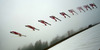 Anders Bardal of Norway soars through the air during last race of Viessmann FIS ski jumping World cup season 2013-2014 in Planica, Slovenia. Last race of Viessmann FIS ski jumping World cup season 2013-2014 was held on Sunday, 23rd of March 2014 on HS139 ski jumping hill in Planica, Slovenia.
