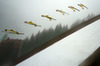 Noriaki Kasai of Japan soars through the air during last race of Viessmann FIS ski jumping World cup season 2013-2014 in Planica, Slovenia. Last race of Viessmann FIS ski jumping World cup season 2013-2014 was held on Sunday, 23rd of March 2014 on HS139 ski jumping hill in Planica, Slovenia.
