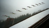 Severin Freund of Germany soars through the air during last race of Viessmann FIS ski jumping World cup season 2013-2014 in Planica, Slovenia. Last race of Viessmann FIS ski jumping World cup season 2013-2014 was held on Sunday, 23rd of March 2014 on HS139 ski jumping hill in Planica, Slovenia.
