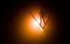 Tom Hilde (NOR) during Mens Trial Round of FIS Ski Jumping World Cup at the Nordic Arena in Ruka, Finland on 2014/11/28.
