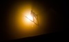Simon Ammann (SUI) during Mens Trial Round of FIS Ski Jumping World Cup at the Nordic Arena in Ruka, Finland on 2014/11/28.
